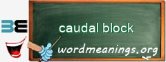 WordMeaning blackboard for caudal block